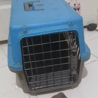 باکس|لوازم جانبی حیوانات|پرند, فاز ۶|دیوار