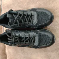 کفش نو|کیف، کفش، کمربند|تربت‌حیدریه, قائم|دیوار