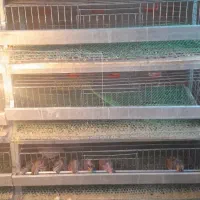 قفس بلدرچین پنج طبقه