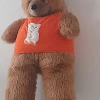 عروسک خرسی  رنگ قهوه ای روشن