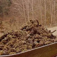 کود اسبی خشک کهنه