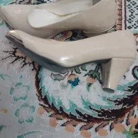 کفش|کیف، کفش، کمربند|مشهد, ثامن|دیوار