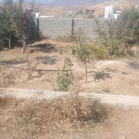 باغ شهری|فروش خانه و ویلا|شیراز, مجتمع شهید پرویزی|دیوار