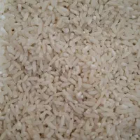 برنج طارم شمال