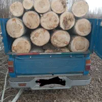 خرید چوب به قیمت روز