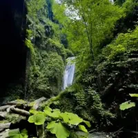 تور شاد شمال