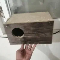 لونه پرنده