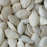 کدو سایز 8
