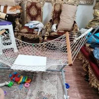 گهواره|تخت و صندلی بچه|تهران, اقدسیه|دیوار