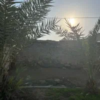 حمیدیه-کوی-انقلاب-خ-گلها
