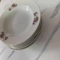 بشقاب گل سرخ