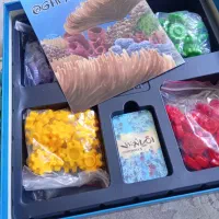 بازی فکری *|اسباب‌‌بازی|تهران, بهمن یار|دیوار