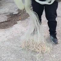 تور ماهیگیری