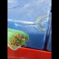 ماشین حمل کودک|اسباببازی بچه|مشهد, گلبرگ شمالی|دیوار