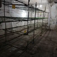 وسایل پرورش قارچ|ابزارآلات|خواجه, |دیوار