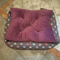 جای خواب سگ و گربه