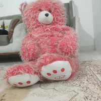 خرس بزرگ