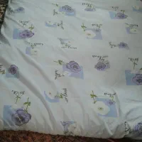 تشک پنبه ای