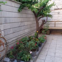 ۱۴۰مترویلایی۳طبقه تکواحدی/سنددار/مناسب ساخت وسکونت|فروش خانه و ویلا|کرج, شهرک اوج|دیوار