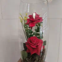 انواع باکس گلهای مصنوعی|گل مصنوعی|شیراز, حجت آباد|دیوار