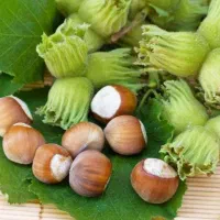 فندوق درج یک از من باغدار بخرید