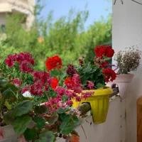 اجاره روزانه ویلا دوخوابه .حیاط.پارکینگ مستقل|اجارهٔ کوتاه‌مدت آپارتمان و سوئیت|کتالم و سادات شهر, |دیوار