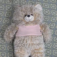 عروسک تدی پشمالو (شاسخین)