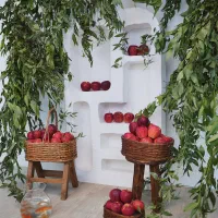 آتلیه عکاسی ساری|خدمات پذیرایی، مراسم|ساری, |دیوار