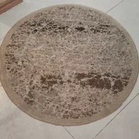 پادری گرد