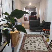 اجاره ۵۰متری/پاستور/پشت گلفروشی زعیم/پارکینگ دار|اجارهٔ آپارتمان|تهران, آذربایجان|دیوار