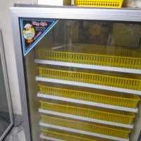 دستگاه جوجه کشی|ابزارآلات|قائم‌شهر, |دیوار