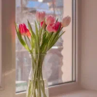 هدیه روز مادر به هم