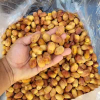 خرما کبکاب ،خاصویی خاصی ،استعمران خوزستان صادراتی|خوردنی و آشامیدنی|تهران, نیروی هوایی (پیروزی)|دیوار