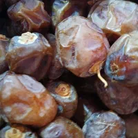 خرما برحی|خوردنی و آشامیدنی|اهواز, اسماعیلیه|دیوار