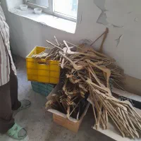 تعدادی چوب لباسی و جای چوب لباسی