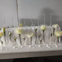 خدمات مجالس ماشین عروس