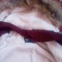 کاپشن کلاه دار|لباس|مراغه, |دیوار