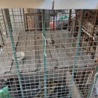 قفس محکم دو طبقه بزرگ قابل تبدیل بطبقات بیشتر