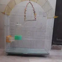 3 عدد قفس پرنده|لوازم جانبی حیوانات|تهران, کرمان|دیوار