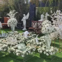 تالار تاج ..ازدواج اسان