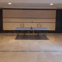 آموزش و بازی پینگ پنگ، کلاس و بازی تنیس روی میز