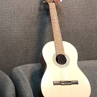 گیتار حرفه ای