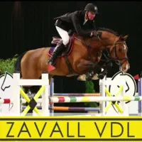 کره مادیون کره زاوال(vdl)