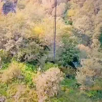 تلویزیون ۵۵ سامسونگ سری ۷|تلویزیون و پروژکتور|گناباد, |دیوار
