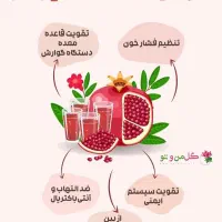 آب  انار کاملا طبیعی|خوردنی و آشامیدنی|مشهد, کوشش|دیوار
