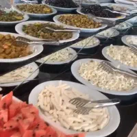 مجری مستقیم تور زمینی وان ترکیه نقد و اقساط|تور و چارتر|تهران, ونک|دیوار