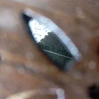 سنتور استاد آب یار|سازهای سنتی|شیراز, زند|دیوار