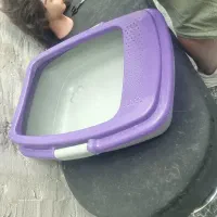 جا خاک گربه