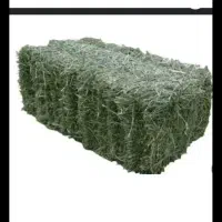 یونحه خورد شده