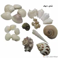 صدف|کلکسیون و سرگرمی|اصفهان, نقش جهان|دیوار